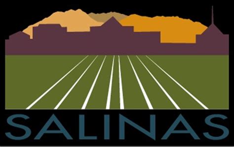 city of salinas business license